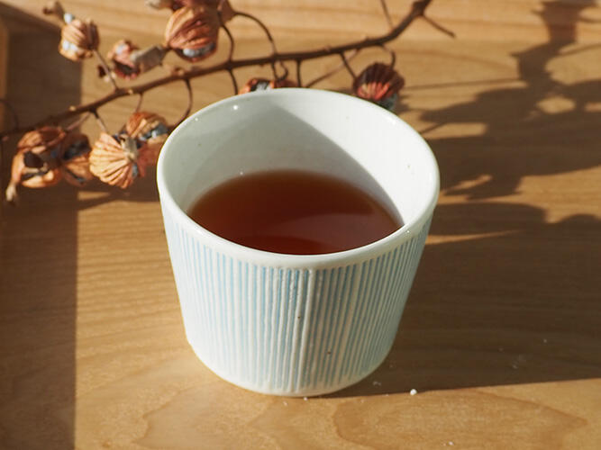 エディオン蔦屋家電イベント