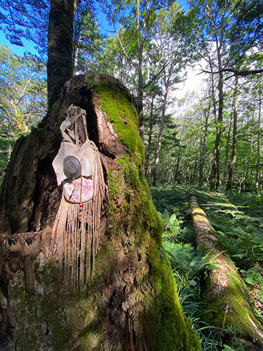 エディオン蔦屋家電イベント