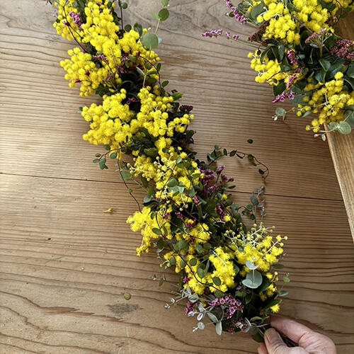 エディオン蔦屋家電イベント