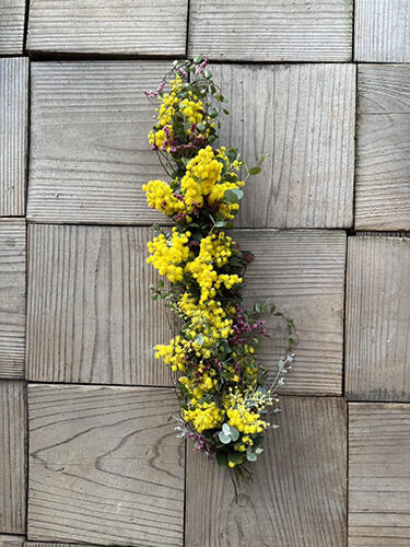 エディオン蔦屋家電イベント