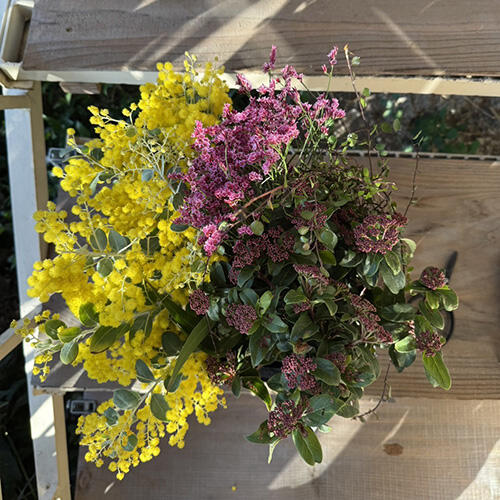 エディオン蔦屋家電イベント