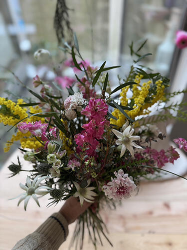 エディオン蔦屋家電イベント