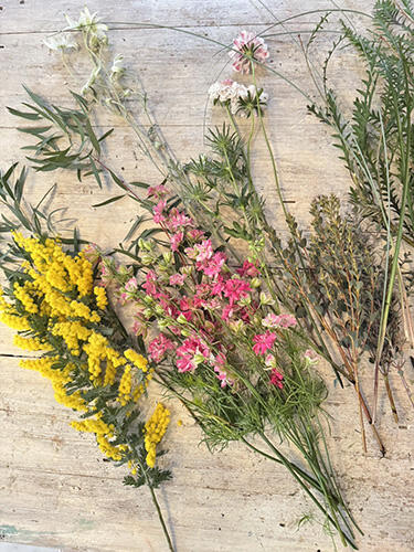 エディオン蔦屋家電イベント